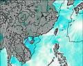 Hong Kong wind map